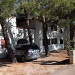 Vera - Mirca Mirce