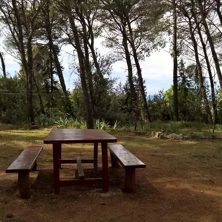 Vera - Mirca Διαμέρισμα *