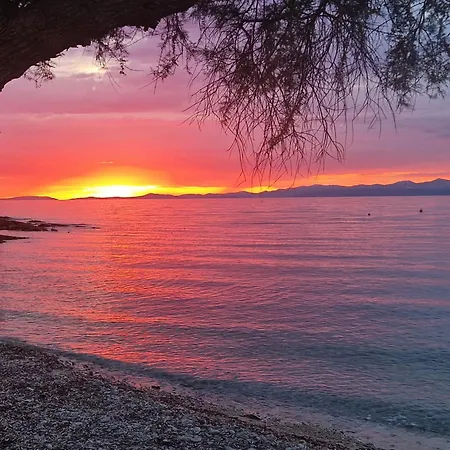 Apartment Vera - Mirca Mirce