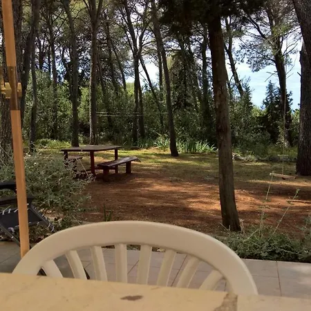 Appartement Vera - Mirca Mirce