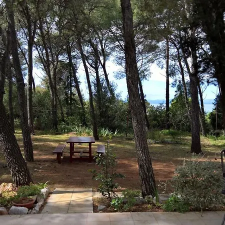 Vera - Mirca Apartment