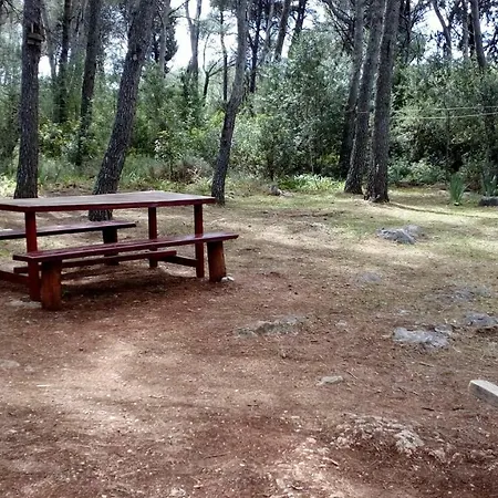 Vera - Mirca * Mirce