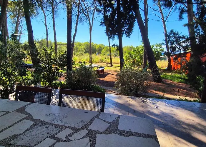 Vera - Mirca Apartment