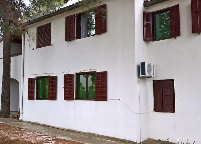 Vera - Mirca * Mirce