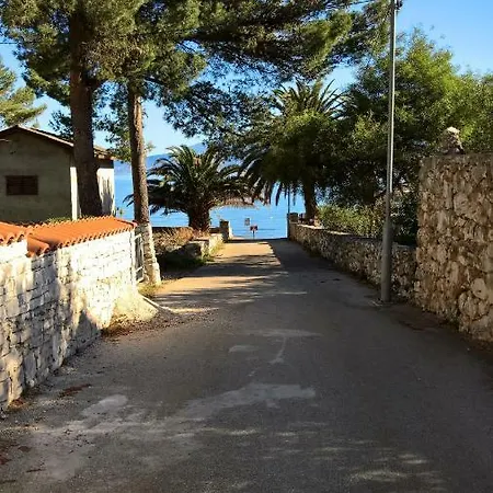 Vera - Mirca