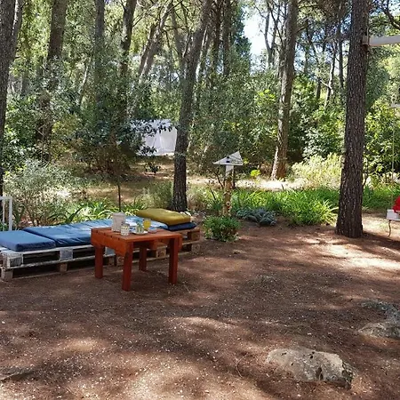 Appartement Vera - Mirca